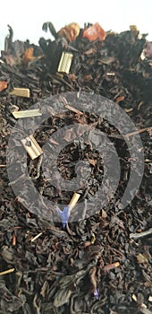 Leaf tea that looks like a fairy forest