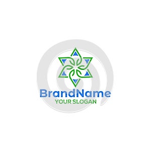 Leaf Triangle Star Logo Design photo