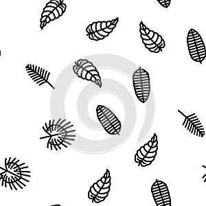 leaf tropical plant palm jungle vector seamless pattern