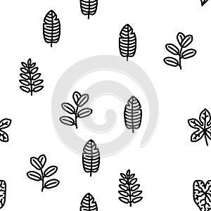 leaf tropical plant palm jungle vector seamless pattern