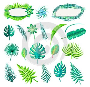 Leaf of Tropical Style Set Vector Illustration