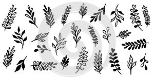 Leaf vector doodle, plant illustration set, hand drawn modern clip art elements