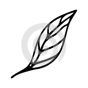 Leaf vector icon. Hand drawn doodle isolated on white. Veined birch or elm foliage, on stem