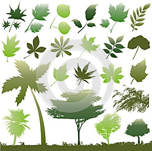 Leaf vector set