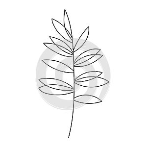 Leaf vector sketch outline illustration. Forest greenery background