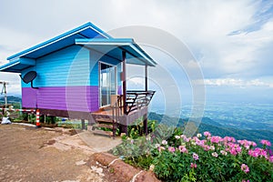 Leaf Vegetable, Tropical Climate, Thailand, Farmhouse, Field