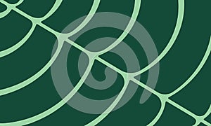 Leaf Vein Background Illustration