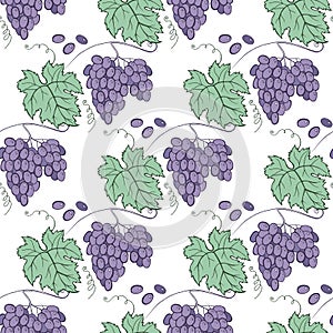 Leaf vine. Grape berries and leaves. Hand-drawn illustration. Vector seamless pattern.