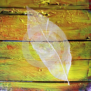 Leaf on wooden background