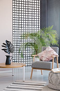 Leaf on wooden table next to armchair with cushion in living room interior with rug. Real photo