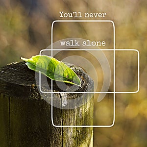 The leaf and words and quotes and letters