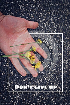 The leaf and words and quotes and letters