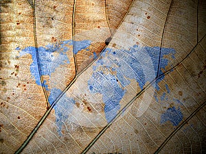 Leaf world map