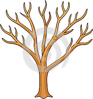 Leafless tree branches extending against transparent background
