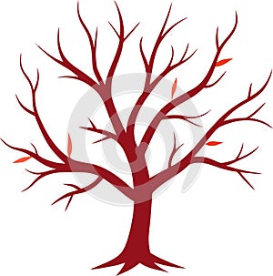 Leafless tree branches extending against transparent background