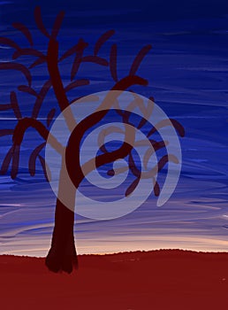 Leafless tree with a dark night