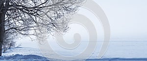 A leafless tree on a plain covered with snow and infinte flatness background. Winter and frost concept. photo