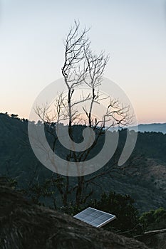 Leafless tree with solar cell with mountain in background in the Akha village of Maejantai on the hill in Chiangmai, Thailand