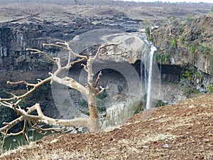 Leafless Tree Stands Tall Against Majestic Waterfall