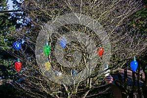 Leafless tree strung with large Christmas light ornaments, happy holidays
