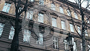 Leafless trees against the classical european building, low angle shot