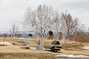 Leafless trees with brown grass on the land near Lake Toya in winter in Hokkaido, Japan