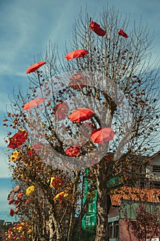 Leafless trees with decorative umbrellas