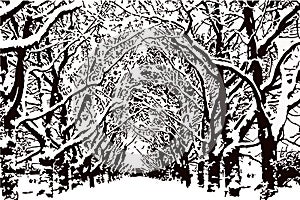 Leafless trees with snow on the branches, park Vector