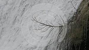Leafless twig of a tree sticking out with water cascading down a waterfall