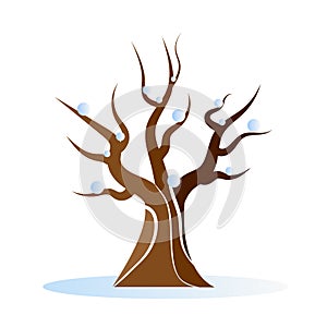 Leafless winter tree