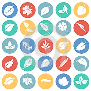 Leafs icon set on color circles background for graphic and web design, Modern simple vector sign. Internet concept. Trendy symbol photo