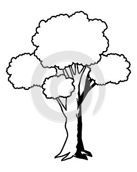 Leafy and black and white tree icon