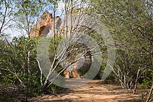 Serra da Capivara, Piaui, Brazil photo