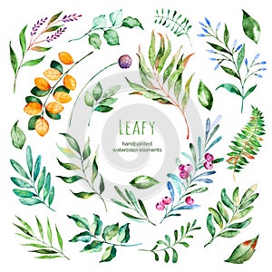 Leafy collection.22 Handpainted watercolor floral elements. photo