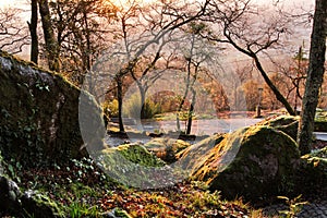 Leafy forest with colossal rock formations in Sanctuary of Penha in Guimaraes