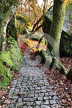 Leafy forest with colossal rock formations in Sanctuary of Penha in Guimaraes