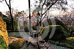 Leafy forest with colossal rock formations in Sanctuary of Penha in Guimaraes