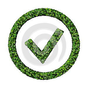 Leafy green check mark