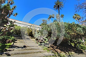 Leafy and green gardens at the Botanical Garden of Lisbon