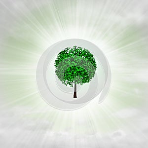 Leafy green tree in glossy bubble in the air with flare