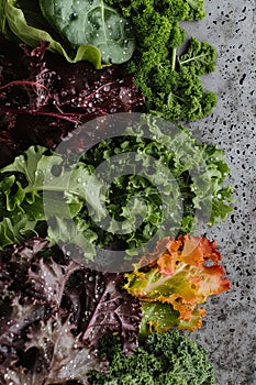 leafy greens water splash poster