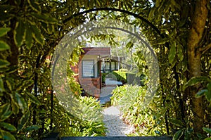 Leafy hedge gate and pathway to modern brick house