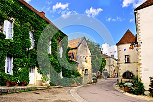 Leafy lane of a medieval village, Burgundy, France