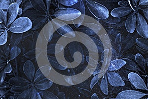 Leafy plant patterned blue background