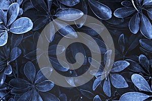 Leafy plant patterned blue background