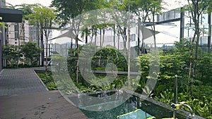 Leafy rooftops looking out over Kuala Lumpur