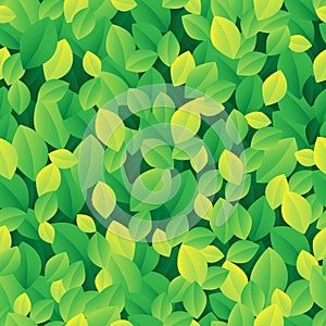 Leafy seamless background 1