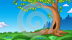 Leafy tree in grassy landscape