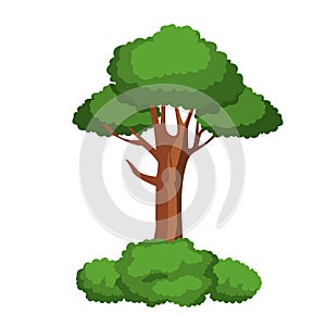Leafy tree and shruberry icon