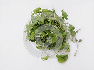 Leafy vegetable - Asiatic pennywort. Scientific name - Centella asiatica. It is used as a culinary vegetable.